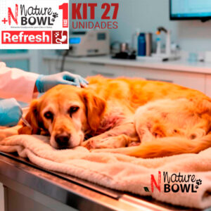 Nature Bowl Refresh Fase 1 – Uso veterinário – Cães e Gatos – Lata 180g – KIT 27 unidades
