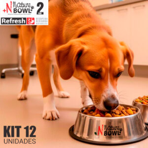 Nature Bowl Refresh Fase 2 – Uso veterinário – Cães e Gatos – Lata 300g – KIT 12 unidades
